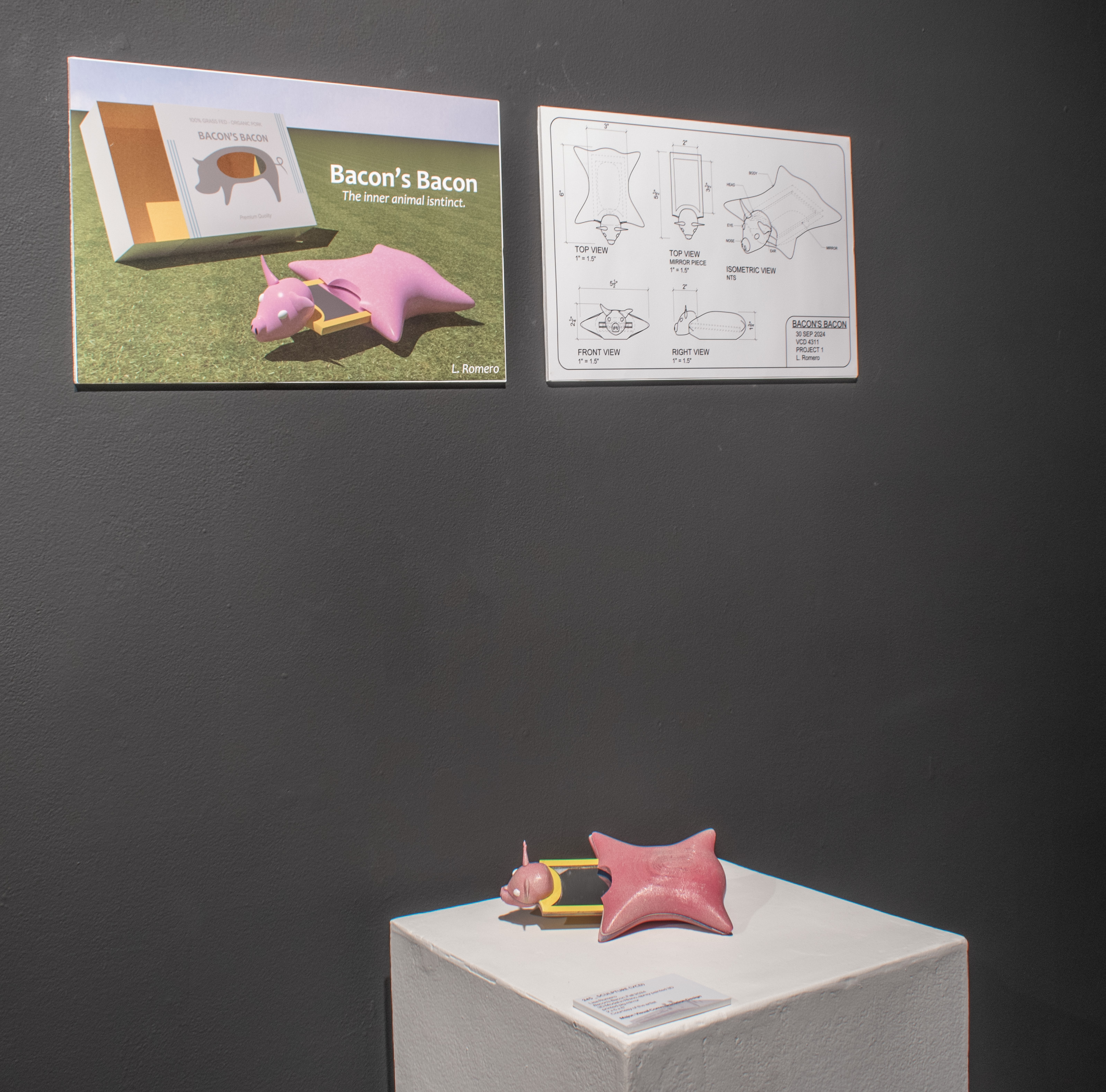 Back Gallery installation view